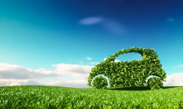 Eco-driving training: train uw medewerkers om brandstof te besparen